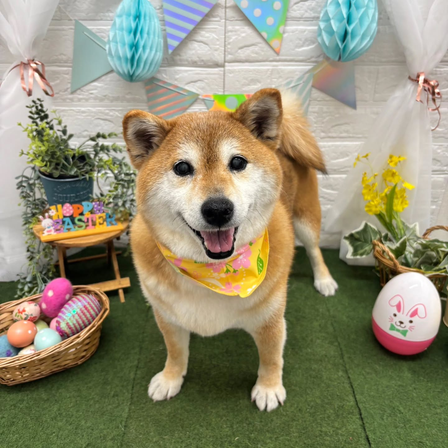 ๐ฐ๐ฐ๐ฐ๐ฐ๐ฐ๐ฐ๐ฐ๐ฐ๐ฐ