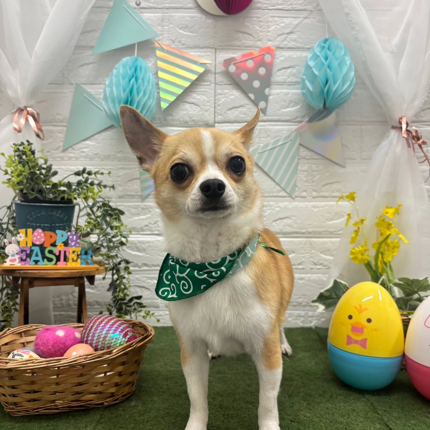 ๐ฐ๐ฐ๐ฐ๐ฐ๐ฐ๐ฐ๐ฐ๐ฐ๐ฐ