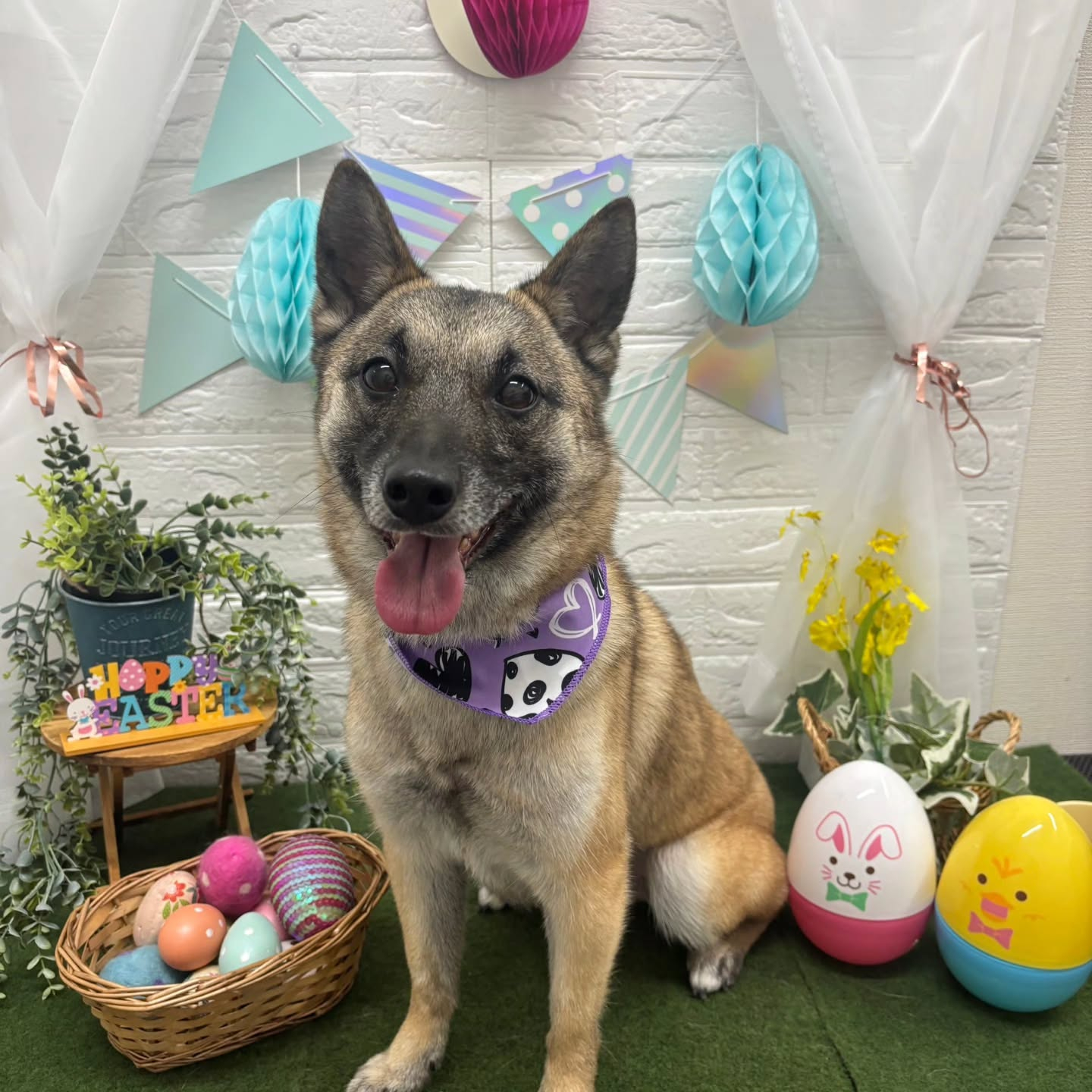 ๐ฐ๐ฐ๐ฐ๐ฐ๐ฐ๐ฐ๐ฐ๐ฐ๐ฐ