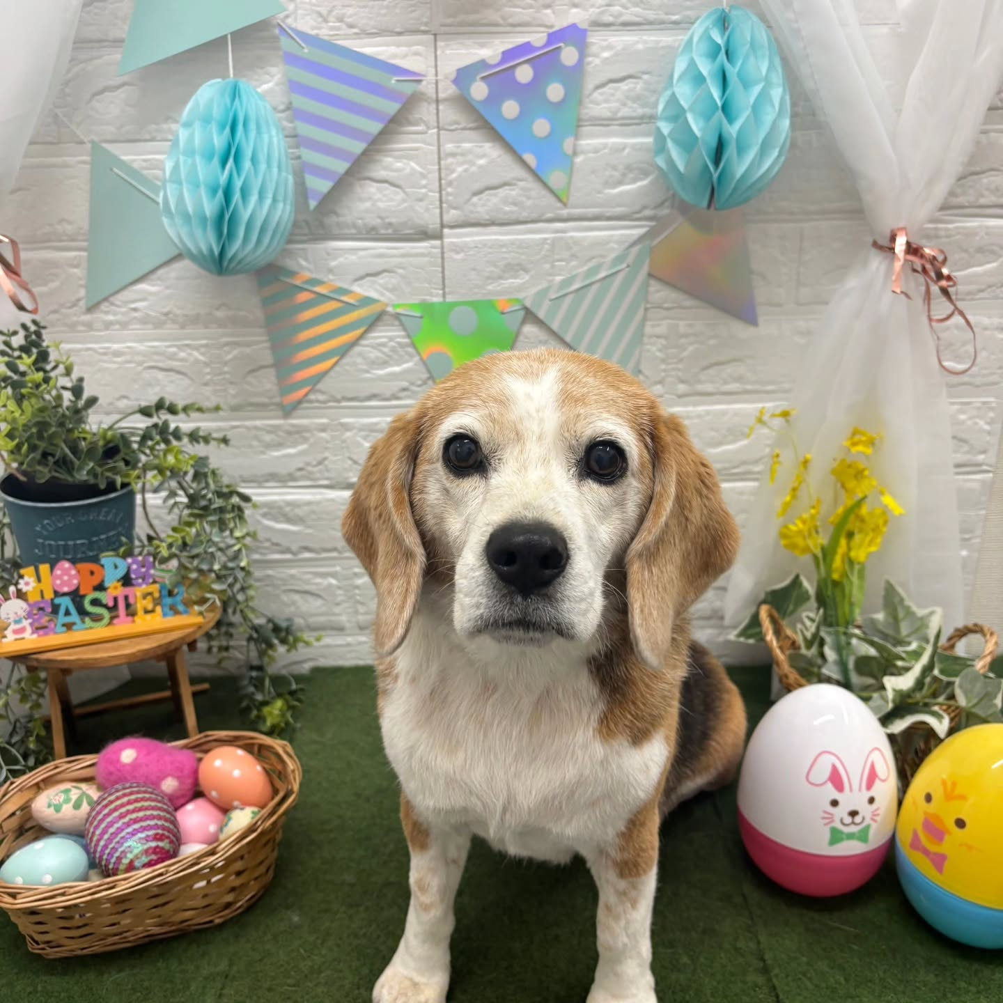 ๐ฐ๐ฐ๐ฐ๐ฐ๐ฐ๐ฐ๐ฐ๐ฐ๐ฐ