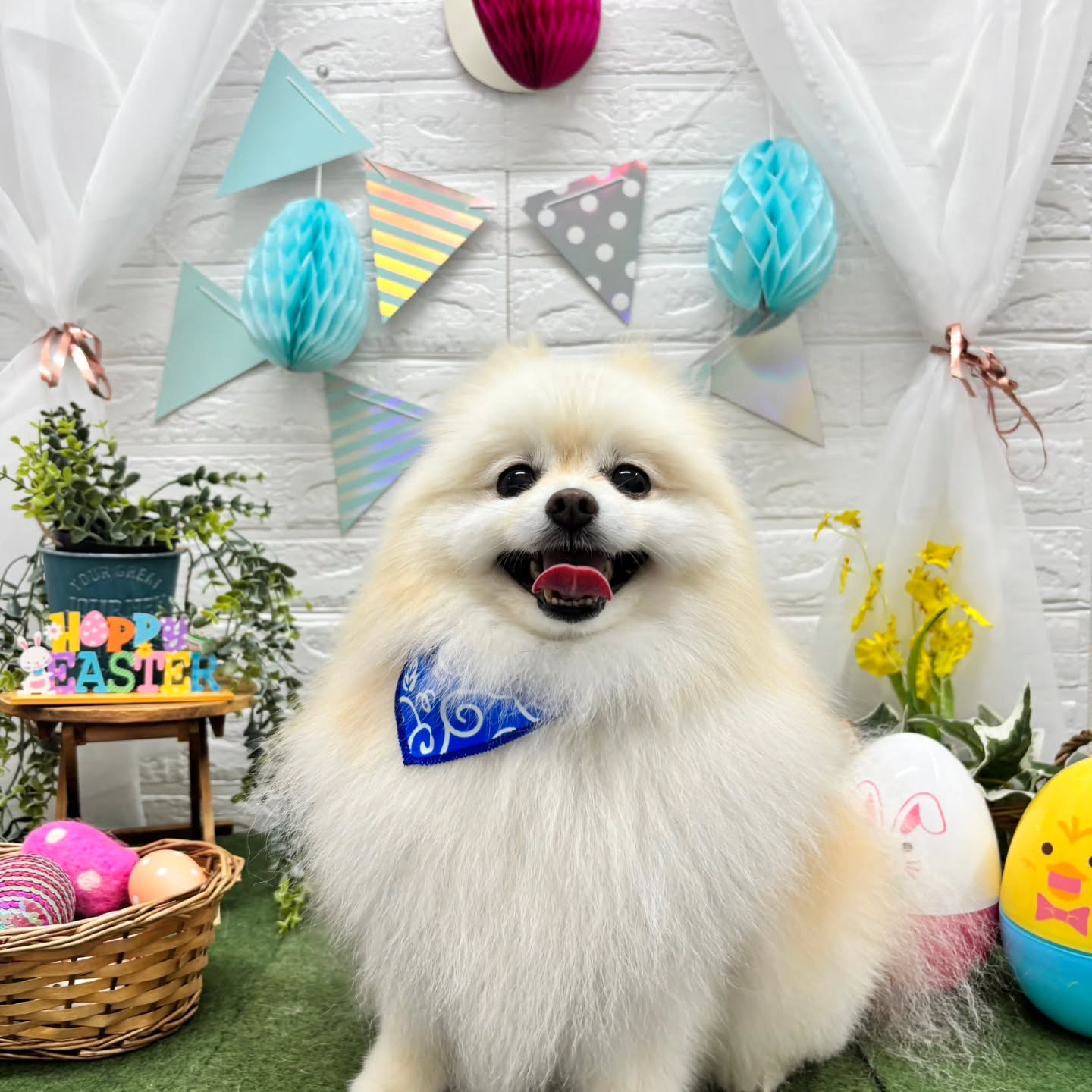 ๐ฐ๐ฐ๐ฐ๐ฐ๐ฐ๐ฐ๐ฐ๐ฐ๐ฐ