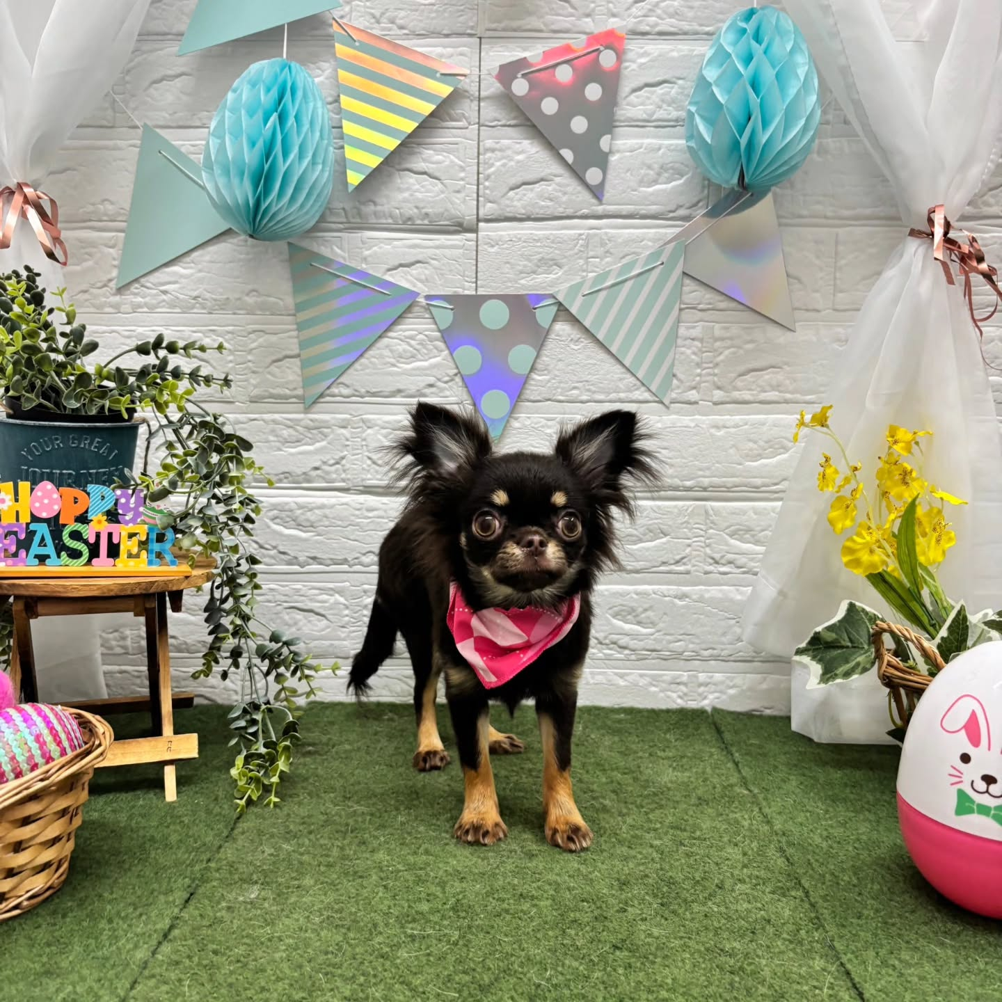 ๐ฐ๐ฐ๐ฐ๐ฐ๐ฐ๐ฐ๐ฐ๐ฐ๐ฐ